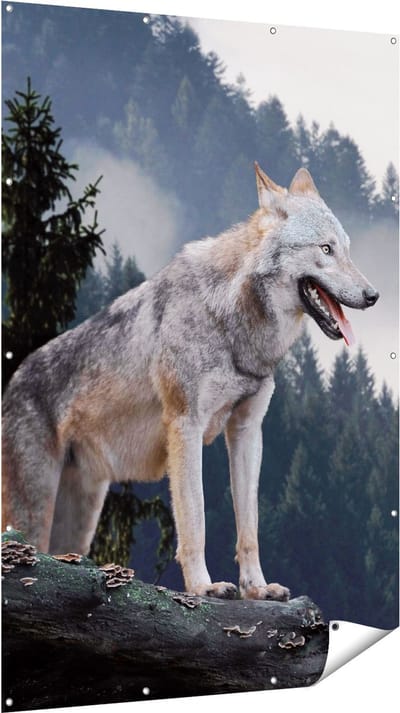Gards Tuinposter Grijze Wolf in de Bossen - 120x180 cm - Tuindoek - Tuindecoratie - Wanddecoratie buiten - Tuinschilderij