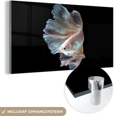 MuchoWow® Glasschilderij 40x20 cm - Schilderij acrylglas - Vis - Staart - Zwart - Foto op glas - Schilderijen