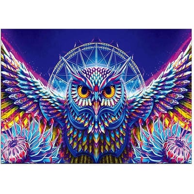 Diamant borduurwerk kleurrijke uil 5D diamant schilderij mozaïek foto handgemaakte strass woondecoratie 20X30CM blue