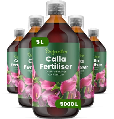 Vloeibare Meststof Voor Calla 5X1 L Voor 5000 L - Npk 3-4-3 - Krachtige Groei - Elegante Bloemstelen - Wortelstokontwikkeling - Grotere Bloemen - Langere Stelen - Verlengde Bloeiperiode - Plantvitaliteit - Organifer