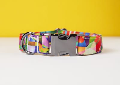 Awesome Paws halsband hond - Honden Halsband Rainbow Abstract patroon - Regenboog Multicolor - Handmade | Maat L