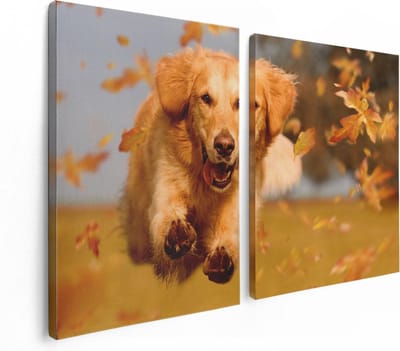 Artaza Canvas Schilderij Tweeluik Golden Retriever Hond In De Herfst Bladeren - 120x80 - Foto Op Canvas - Canvas Print