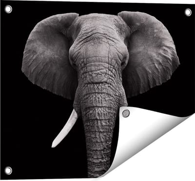 Gards Tuinposter Olifantenkop - Olifant - Zwart Wit - 50x40 cm - Tuindoek - Tuindecoratie - Wanddecoratie buiten - Tuinschilderij