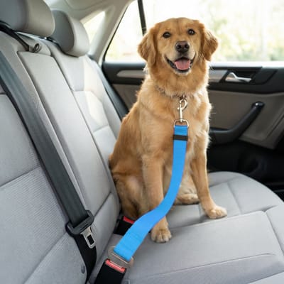 Autogordel Hondenriem 45–70 cm – Verstelbare Veiligheidsriem voor Hond – Autoriem met Karabijnhaak – Rood/Blauw/Zwart [55701]