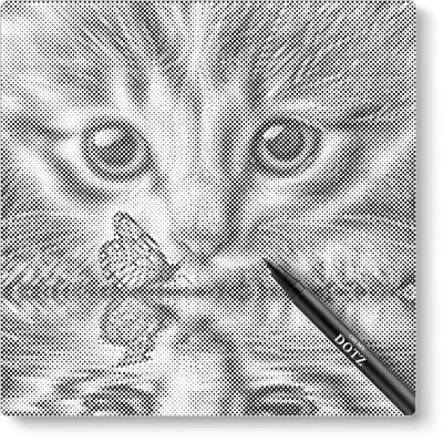 Kitten Met Vlinder | Dot painting | 40x40cm | Dot painting | Oh My Dotz | Dots stippen | Diamond painting & Schilderen op nummer alternatief | Happy hobby