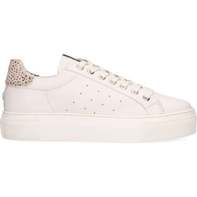 Maruti - Ted Sneakers - White - 37