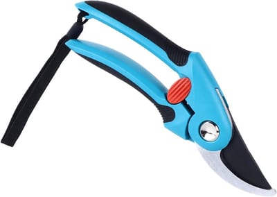 Dailygoods- Snoeischaar Ergonomisch Ontwerp - Fruitboom Snoeien - Tuinonderhoud - SK5 Stalen Messen - Comfortabele Handgrepen - Efficiënt Snijden - Tuinschaar