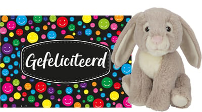 Pluche knuffel cadeau Konijn 19 cm met A5-size Gefeliciteerd wenskaart - Verjaardag cadeau opsturen - Jongen/meisje