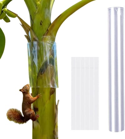 Boomschorsbeschermers - Boomstam Bandage - Tuin Bescherming - Zelfklevend Waterdicht - 40 x 120 cm - Transparant