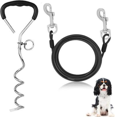 Robuuste grondanker voor honden en trampolines - 43 cm met sleeplijn en roestvrije bevestiging