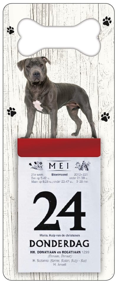 Scheurkalender 2024 Hond: Engelse Staffordshire Bull Terrier
