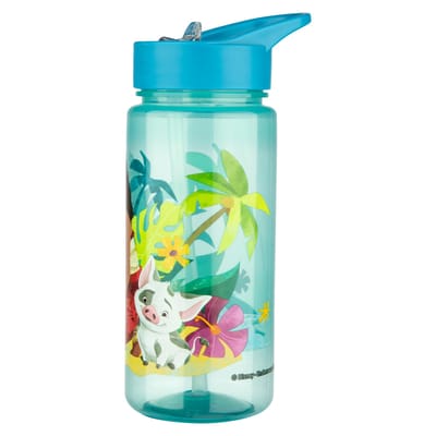 Disney Vaiana Serie - Bidon - 500ml - Veilig Materiaal - Nadruk Hoofdbetaalfiguren