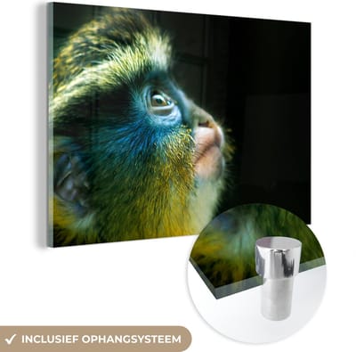 MuchoWow® Glasschilderij 60x40 cm - Schilderij acrylglas - Aap - Vacht - Zwart - Foto op glas - Schilderijen