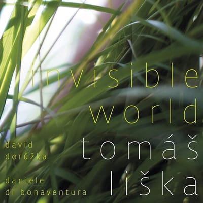 Tomás Liska, David Doruzka & Daniele Di Boneventura - Liska: Invisible World (CD)
