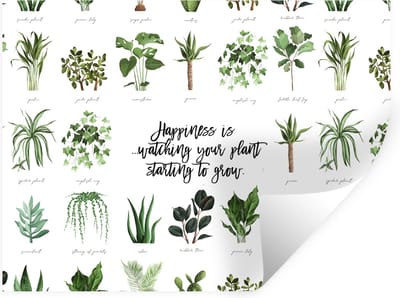 Muurstickers - Sticker Folie - Quotes - Happiness is... watching your plant starting to grow - Spreuken - Planten - 40x30 cm - Plakfolie - Muurstickers Kinderkamer - Zelfklevend Behang - Zelfklevend behangpapier - Stickerfolie