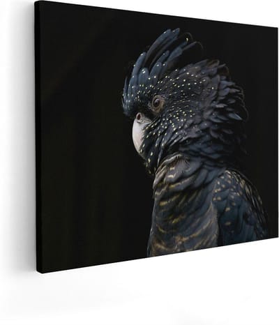 Artaza Canvas Schilderij Zwarte Vogel - 50x40 cm - Wanddecoratie Dieren - Muurdecoratie Papegaai - Kamer Accessoires