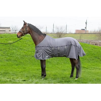 Harry's Horse Vliegendeken Harry's Horse Mesh-pro Belly Grijs