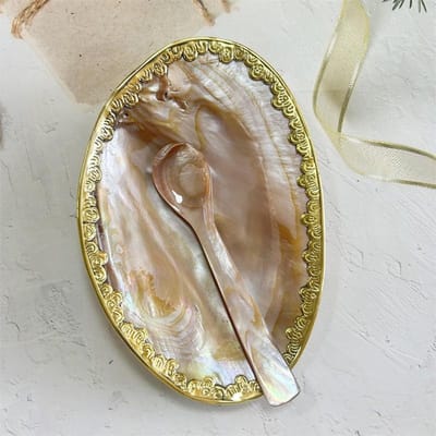 Natuurlijke schelp gepolijste fruitschaal kaviaarschaal hoteltafel shooting props schelpschaal parelmoer dienblad