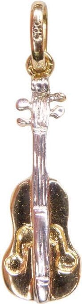 Bicolor gouden viool hanger