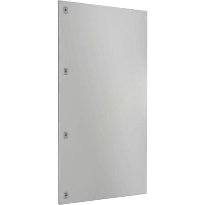 Rittal SV 9682.196 Deeldeur Staal Grijs (b x h) 800 mm x 1600 mm 1 stuk(s)