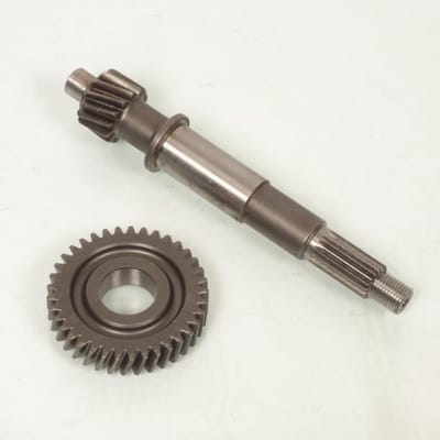 Pont arrière de transmission Polini pour Scooter Kymco 125 Dink Street 202.1386 / Z 14/37 / 10 pouces Neuf