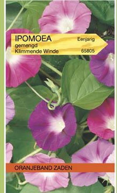 Oranjeband Zaden - Klimmende Winde Mix (Ipomoea tricolor)
