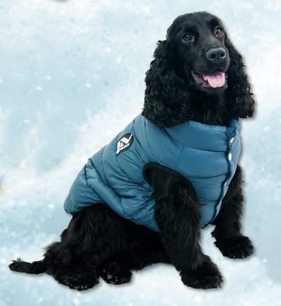 Jack&Vanilla hondenjas - bodywarmer - wind en waterdicht - maat XL - 45cm - blauw - navy - hondenbodywarmer