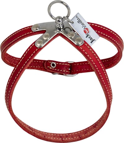 Jack And Vanilla - Tuigjes - Vetleder Springtuigje - Rood - 10mmx40cm 47/8028 - 177418