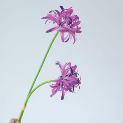 Spinlelie - paars - zijden bloemen - 3 stelen - onderhoudsvrij - 50 cm - kunstbloemen