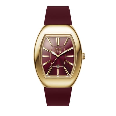 Datum horloge ICE boliday