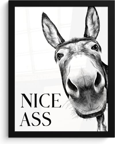 Poster in lijst - Fotolijst 30x40 cm - Posters - Quote - Ezel - Dieren - Nice ass - Spreuken - Posterlijst zwart - Wanddecoratie badkamer - Muurdecoratie WC - Decoratieve accessoires - Toilet muur decoratie
