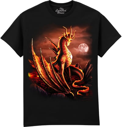Draak Alessa Dragon The Coloured House T-shirt M