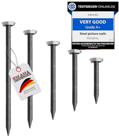 SnelShoppen - 50 picture nails mix 10x20mm, 25mm, 30mm, 40mm, 50mm - stevige stalen spijkers voor beton, baksteen, pleister en hout - zilveren kop