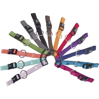Hondenhalsband Nobby Pet Classic