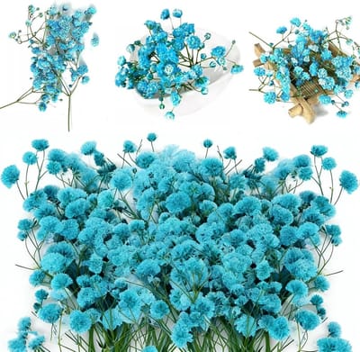 Natuurlijke Gypsophila Dried Flowers voor Resin Art, DIY Kaarten en Bruiloft Decoratie met Pincet, 130 Stuks in Blauw