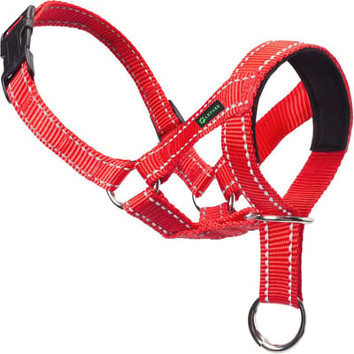 Reflecterende hondenhalsband voor kleine, middelgrote en grote honden - Comfortabel en veilig