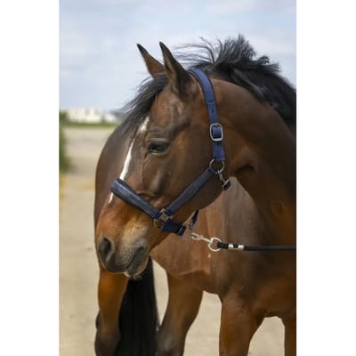Nylon strass halster Equithème