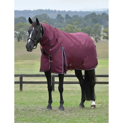 Afneembare buitendeken voor paard met hals Weatherbeeta Comfitec Essential 220g