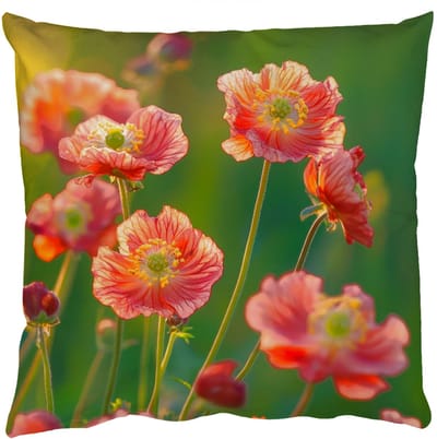 Sierkussens - Kussentjes Woonkamer - 50x50 cm - Bloemenveld - Zonnestralen - Oranje