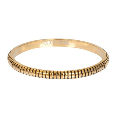 iXXXi invulring Karma R06604 (2MM)