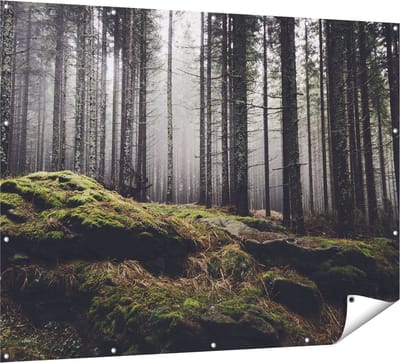 Gards Tuinposter Bos met Mos op Rotsen - 160x120 cm - Tuindoek - Tuindecoratie - Wanddecoratie buiten - Tuinschilderij