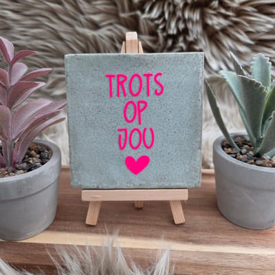 Robuust Wenstegeltje “Trots op Jou” – Lief Cadeautegeltje met Hartje – Trendy nu – Geslaagd – Vriend(in) – Familie – Gezin – Zomaar – Cadeau – Geslaagd