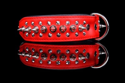 Dog's Companion Leren Halsband - met Spikes - Lengte: 50cm Verstelbaar van: 40-47 cm x 40 mm - Rood/Zwart