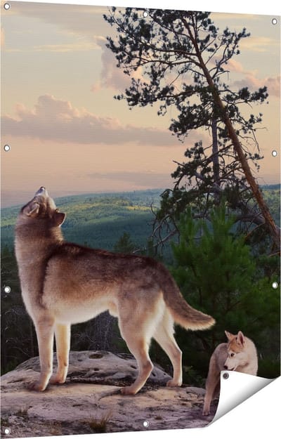 Gards Tuinposter Drie Wolven op een Rots in het Bos - 90x120 cm - Tuindoek - Tuindecoratie - Wanddecoratie buiten - Tuinschilderij
