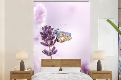 Behang - Fotobehang Lavendel - Vlinder - Close-up - Paars - Breedte 225 cm x hoogte 350 cm