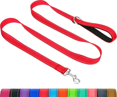 Hondenlijnen voor kleine tot middelgrote honden | Dubbelzijdig reflecterend | Zacht neopreen gevoerd handvat | 2 cm breed bij 120 cm lang | rood