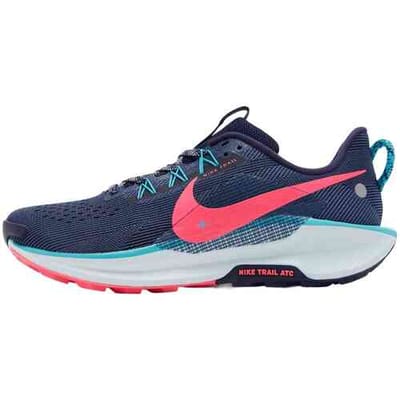 Hardloopschoenen Nike DV3864-403