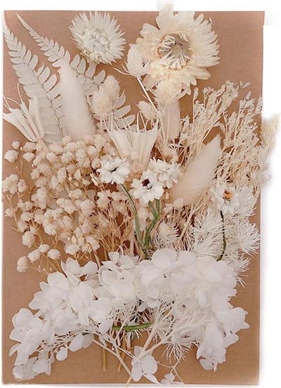 Geperste bloemen voor hars, echte botanische knutselset, kleurrijke gedroogde bloemblaadjes, geselecteerde variëteit verbetert kunstprojecten, levendige bloemen voor decoraties