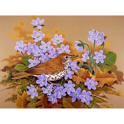Volledige ronde boor diamant borduurwerk kleine orchidee 5D DIY diamant schilderen kruissteek strass 20X30CM gray