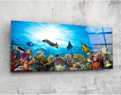 Panorama Glasschilderij - Onder de Zee - Wanddecoratie - 92 x 36 cm